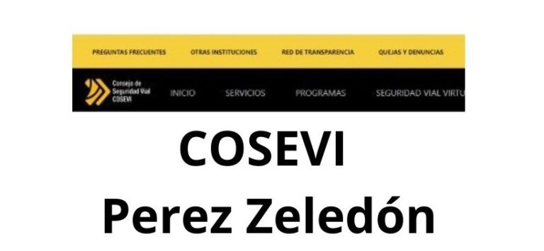 COSEVI Perez Zeledón