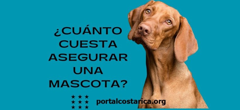 Cuánto cuesta asegurar una mascota en Costa Rica