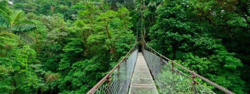 Monteverde Costa Rica