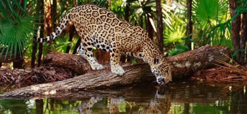 Que visitar en Costa Rica